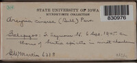 Image Associated With the Occurrence